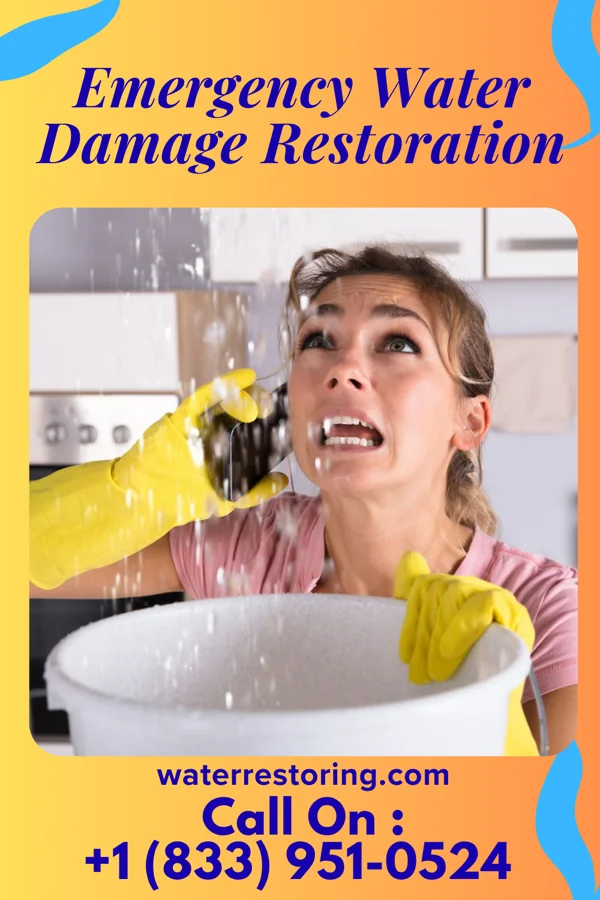 Emergency Water Damage Restoration in Springdale, WA