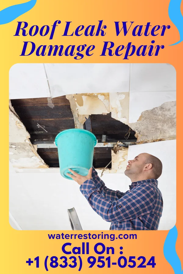 Roof Leak Water Damage Repair in Springdale, WA